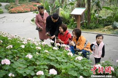 青秀山万珠兰盛放 市民踏青赏花醉幽兰谷